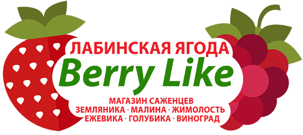 Лабинская ягода