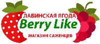 Лабинская ягода