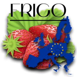 zemlyanikafrigo1