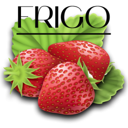 zemlyanikafrigo7